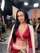 定于2026年3月10日上