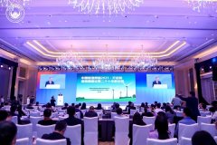 广开首研究院院长兼首席经济学家连平从本钱市